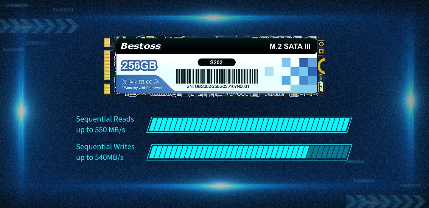 M.2 SATA III SSD